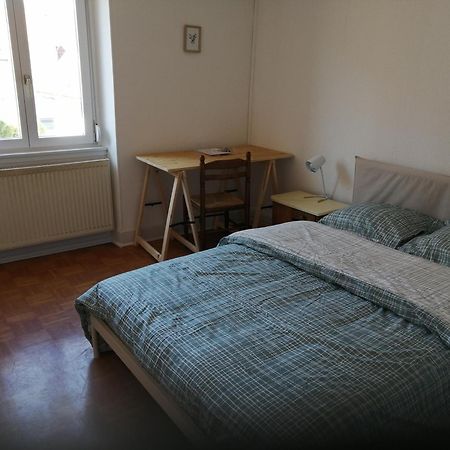 Appartement Entier, Proche Tram-Train Et Commodites, Parking Gratuit Miluza Zewnętrze zdjęcie